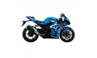 Carene Suzuki GSXR 1000