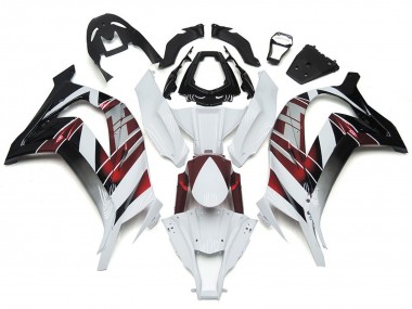 Bianco & Argento 2016-2019 Kawasaki ZX10R Carene Moto