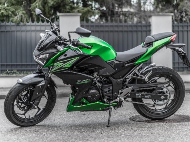 Kit Carena Moto Kawasaki Z250/Z300 2015-2016 - Verde Nero Opaco