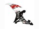 Carena Moto Yamaha YZF 1000 R1 2002-2003 - Bianco Rosso Nero Castrol