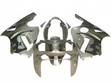 Carena Moto Kawasaki ZX12R 2002-2006 - Argento Nero
