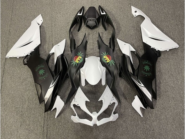 Mine Réjouie 2019-2023 Kawasaki ZX6R Carene Moto Mine Réjouie 2019-2023 Kawasaki ZX6R Carene Moto