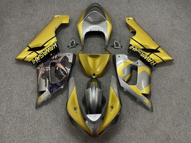 Oro & Argento 2005-2006 Kawasaki ZX6R Carene Moto